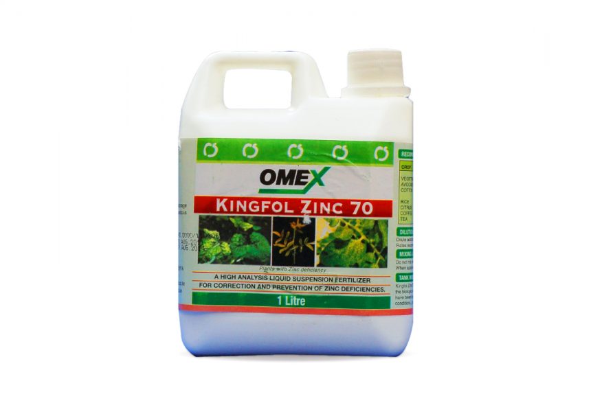 Kingfol-Zinc1